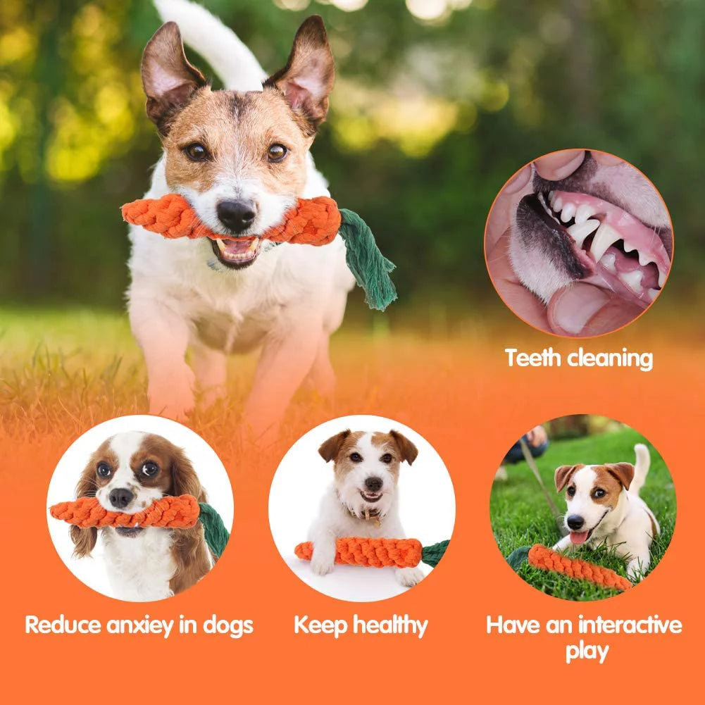 5 Pieces Dog Chew Toys, Safe Durable Puppy Teething Chewing Braided Toys, Medium Large Pet Dog Cotton Knot Paws Fun Molar for Clean Teeth Healthy