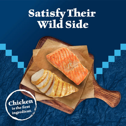 Wilderness Chicken & Salmon Flavor Dry Soft Treats for Cats, Grain-Free, 2 Oz. Bag